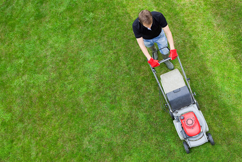 Winter Lawn Maintenance Tips from Quick Cuts Lawn Service